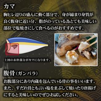 KU501 【期間限定】【先行予約】東京オリンピック供給資格「AEL(養殖エコラベル)」認証取得のカンパチ！活き〆 プレミアムフィッシュ「ｅ－かんぱち」ロイン ２節(カマ、腹骨付き)【マルエイ水産】