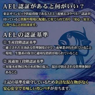 AG-CD2【先行予約】東京オリンピック供給資格「AEL(養殖エコラベル)」認証取得のカンパチ！活き〆プレミアムフィッシュ「e-かんぱち」フィーレ(お刺身約20人前)【マルエイ水産】