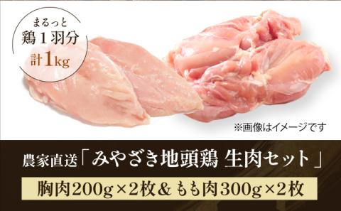 U-A3 《認定農家直送！》のびのびと育てたみやざき地頭鶏の生肉セット（計1kg・モモ肉300g×2P、ムネ肉200g×2P）炭焼、ソテー、鶏すき焼きに♪【権代ファーム】