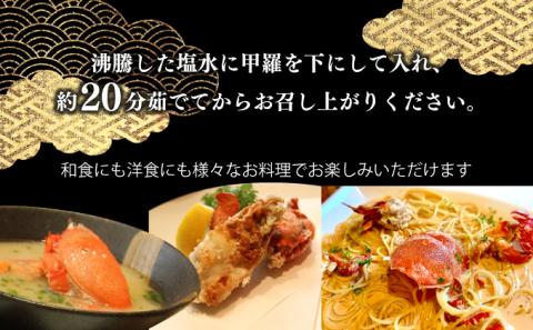 KU016 宮崎県串間産アサヒガニ(計約500g・2～3匹)【合同会社Houryoumaru】