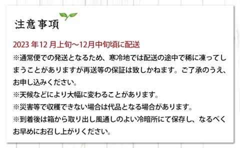 AD-AB3 ＜訳あり＞年内お届け！ふるやさんちのご家庭用温室不知火(約5kg)【ふるやさんちのみかん園】【AD-AB3】