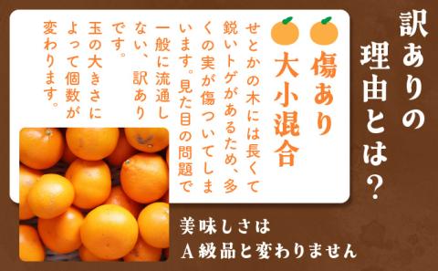 KU335  ≪数量限定・訳あり≫  順子姉さんのひっぱりだこ愛情せとか 5kg