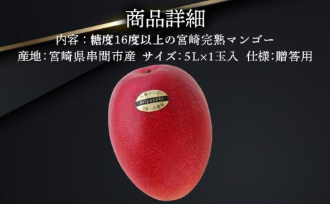 AE-C2 ＜先行予約＞糖度15度以上！宮崎完熟マンゴー贈答用（5L×1玉入）【株式会社やました農園】