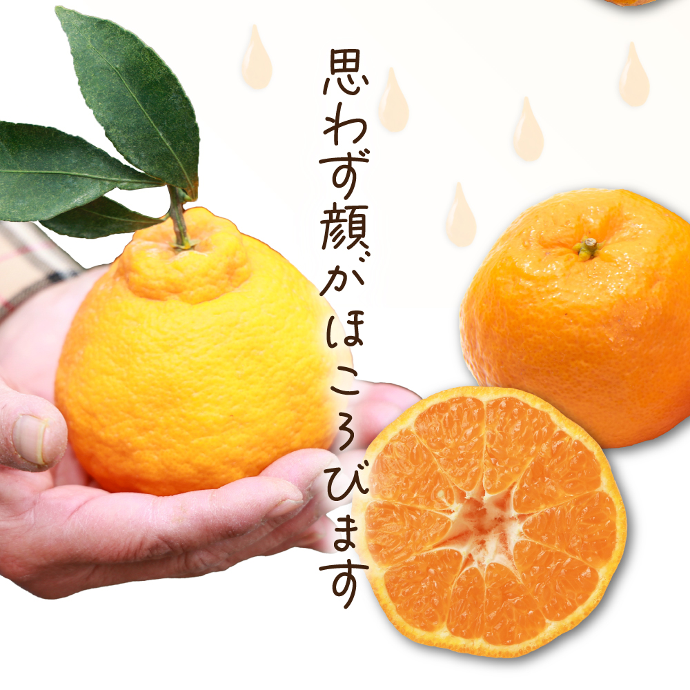 AF-A2 串間市都井「石上農園」の不知火・ポンカンセット(不知火2Lサイズ・3個、ポンカンMサイズ・30玉～35玉)【石上農園】