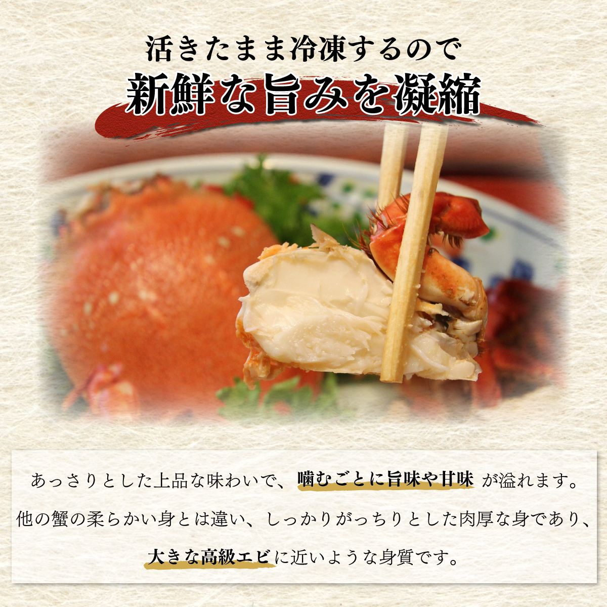 HRAGT-1 宮崎県串間産アサヒガニ 特大サイズ(計約1kg・2～3匹)【合同会社Houryoumaru】