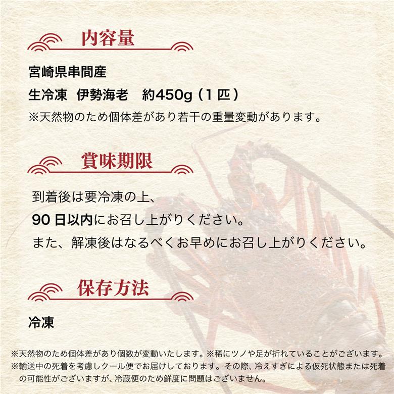 HRISI-45【先行予約】＜数量限定＞宮崎県串間産伊勢エビ(計約450g・1匹) 【合同会社Houryoumaru】【HRISI-45】