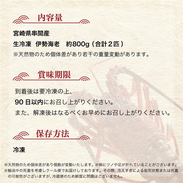 HRISI-80【先行予約】＜数量限定＞宮崎県串間産伊勢エビ(計約800g・2匹) 【合同会社Houryoumaru】【HRISI-80】