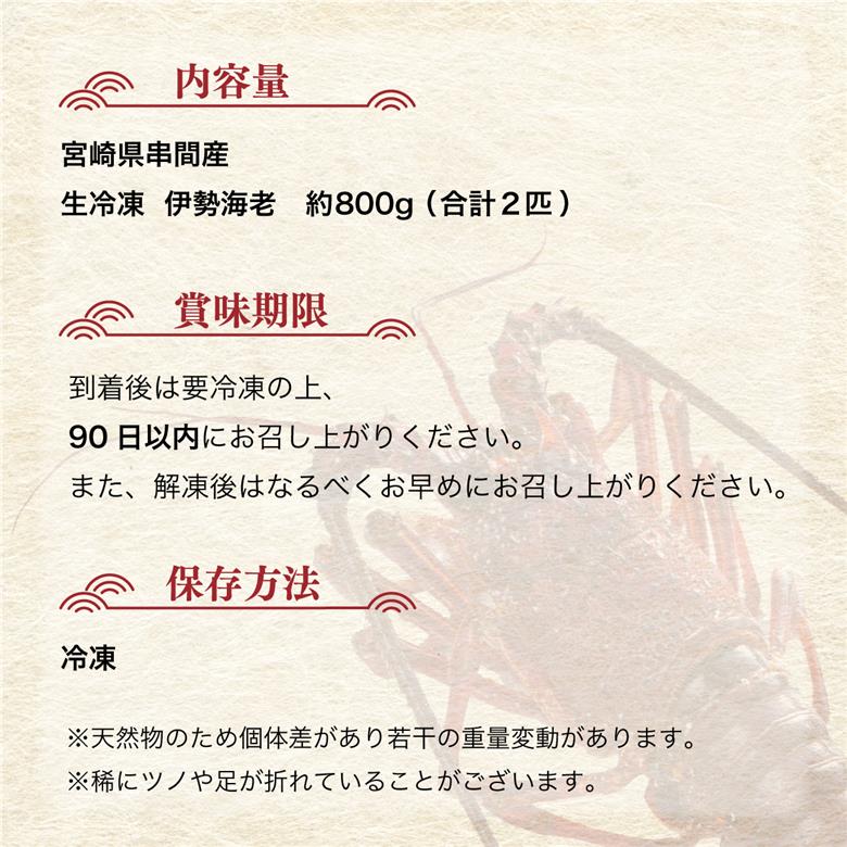 HRISR-80【先行予約】＜生冷凍・数量限定＞宮崎県串間産 天然伊勢エビ(計約800g・2匹) 【合同会社Houryoumaru】