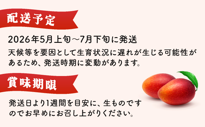 KU019＜令和8年発送分　先行予約！＞＜数量限定＞宮崎完熟マンゴー(2L×2玉) 宮崎県産の完熟マンゴー