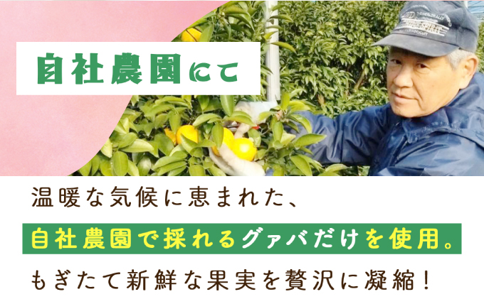 KU111 【定期便・全12回】まるで果実を食べているような！グァバドリンク２本セット(各720ml)×12回【宮崎果汁】