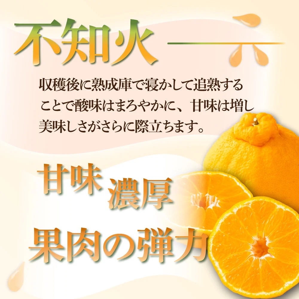 KU167 【先行予約】【定期便・全4回】石上農園から自慢の柑橘フルコース便　【石上農園】