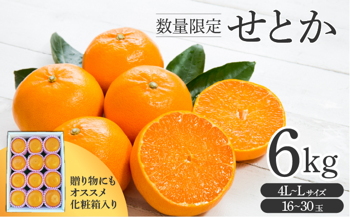 せとか6㎏(16～30玉・化粧箱)