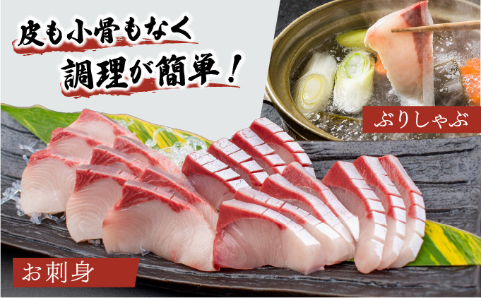 KU281-2505＜2025年5月発送分＞活じめ！黒瀬ぶりの生鮮ブリロイン2節（1.0kg前後）