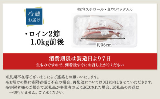 KU281-2506＜2025年6月発送分＞活じめ！黒瀬ぶりの生鮮ブリロイン2節（1.0kg前後）