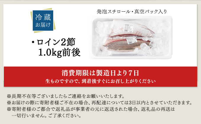 KU281-2601 ＜2026年1月発送分＞活じめ！黒瀬ぶりの生鮮ブリロイン2節（1.0kg前後）
