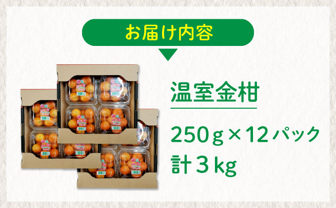 【先行予約】温室金柑 3㎏(250g×12パック)