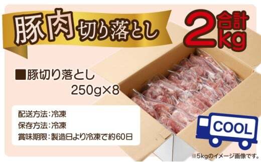 ＜2026年2月発送分＞宮崎県産 豚肉切り落とし 250g×8パック 合計2kg