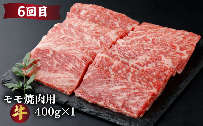 【定期便・全6回】宮崎牛・宮崎県産豚肉 6ヶ月定期便！（合計6.9kg） ロース ウデ バラ モモ 小間切れ とんかつ 焼肉 しゃぶしゃぶ BBQ 宮崎県【MCT6UB-69】