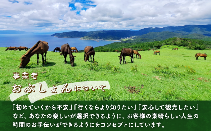 OP-TMG 体験！おもしろ『都井岬野生馬』観察ガイドツアー