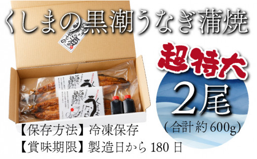 OTUCT-2【数量限定】超特大くしまの黒潮うなぎ蒲焼２尾（合計600g前後）【大田商店】
