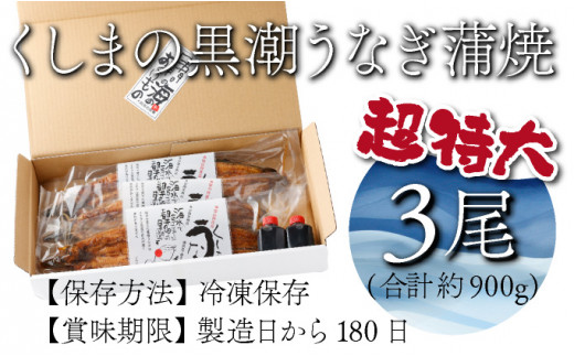 OTUCT-3【数量限定】超特大くしまの黒潮うなぎ蒲焼３尾（合計900g前後）【大田商店】
