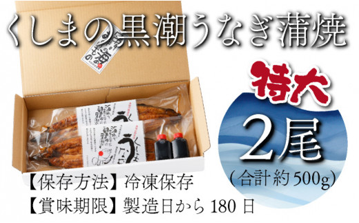 OTUTD-2【数量限定】特大くしまの黒潮うなぎ蒲焼２尾（合計500g前後）【大田商店】