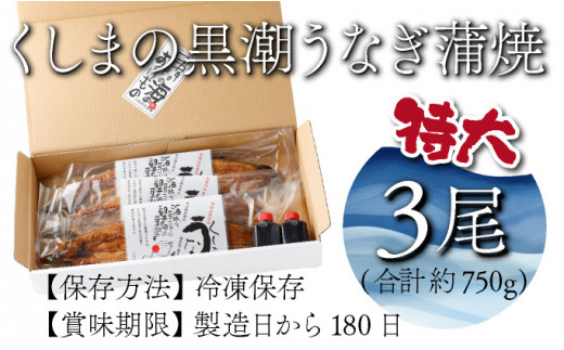 OTUTD-3【数量限定】特大くしまの黒潮うなぎ蒲焼３尾（合計750g前後）【大田商店】