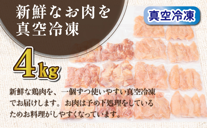 TRT08 若鶏 4kgビッグセット