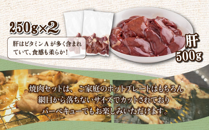 TRT09 若鶏焼肉 4.1kgセット