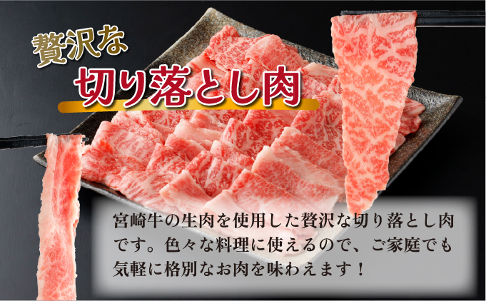 Y-A7 《冷蔵・真空包装》A4等級以上！とろける旨み！宮崎牛切り落とし（300g×2P・計600g）【スーパーほりぐち】