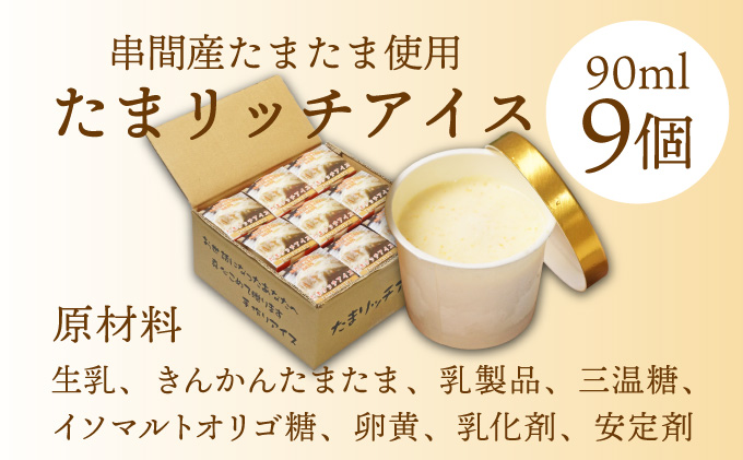 AQ-A1 串間市産きんかんたまたま使用！たまリッチアイス詰合せ（9個）【たまたまクラブ】