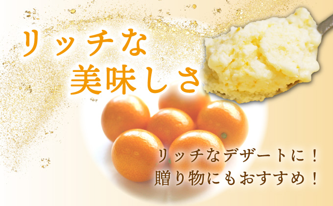 AQ-A1 串間市産きんかんたまたま使用！たまリッチアイス詰合せ（9個）【たまたまクラブ】