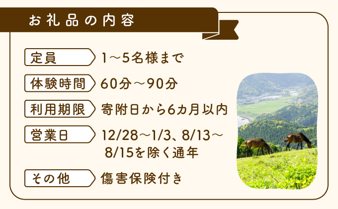 OP-TMG 体験！おもしろ『都井岬野生馬』観察ガイドツアー