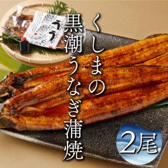 KU469-2 くしまの黒潮うなぎ蒲焼２尾（合計400g前後）【大田商店】