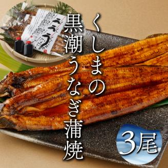 KU469-3 くしまの黒潮うなぎ蒲焼３尾（合計600g前後）【大田商店】