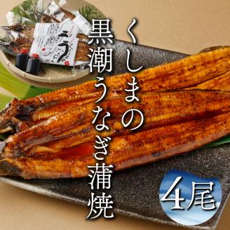 KU469-4 くしまの黒潮うなぎ蒲焼４尾（合計800g前後）【大田商店】