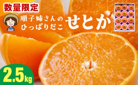 KU303 ≪数量限定≫ 順子姉さんのひっぱりだこ愛情せとか 2.5kg