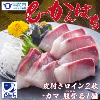 KU501 【期間限定】【先行予約】東京オリンピック供給資格「AEL(養殖エコラベル)」認証取得のカンパチ！活き〆 プレミアムフィッシュ「ｅ－かんぱち」ロイン ２節(カマ、腹骨付き)【マルエイ水産】