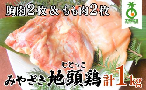 U-A3 《認定農家直送！》のびのびと育てたみやざき地頭鶏の生肉セット（計1kg・モモ肉300g×2P、ムネ肉200g×2P）炭焼、ソテー、鶏すき焼きに♪【権代ファーム】