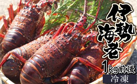 KU346 ＜生冷凍・数量限定＞宮崎県串間産 天然伊勢エビ(計約1kg前後・2～4匹) 【合同会社Houryoumaru】