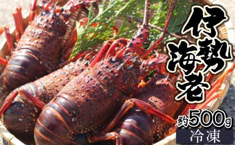 KU345 ＜生冷凍・数量限定＞宮崎県串間産 天然伊勢エビ(計約500g・1～3匹) 【合同会社Houryoumaru】