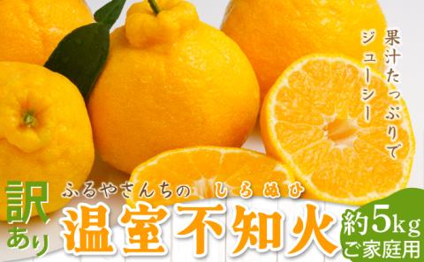AD-AB3 ＜訳あり＞年内お届け！ふるやさんちのご家庭用温室不知火(約5kg)【ふるやさんちのみかん園】【AD-AB3】