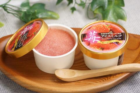 AQ-A3 串間市産いちご使用！いちごアイス詰合せ（9個）【たまたまクラブ】