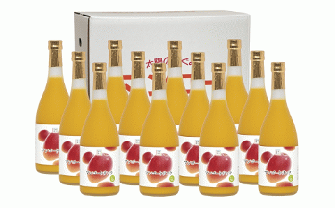 G-K2 《定期便年4回発送》マンゴードリンクセット＜720ml×12本＞×4回・計48本【宮崎果汁株式会社】