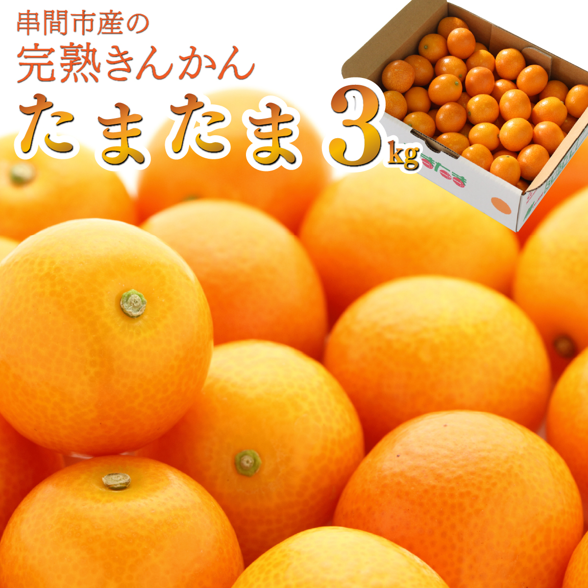 AA-C1 串間市産！完熟きんかん・たまたま（2L・計3kg）【串間市大束農業協同組合】