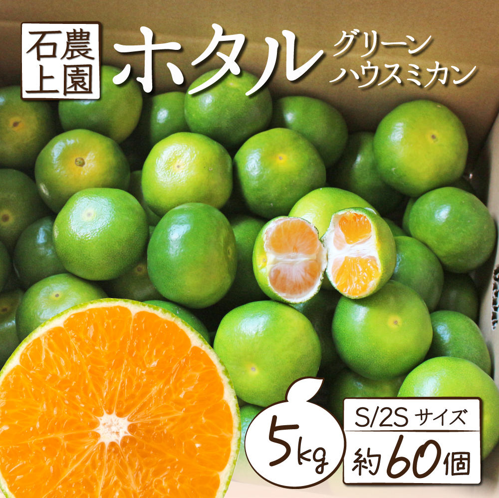 AF-A1 串間市都井「石上農園」自慢のホタル グリーンハウスミカン 5kg（約60個）【石上農園】