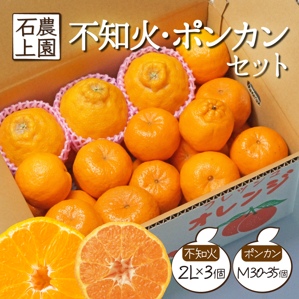 AF-A2 串間市都井「石上農園」の不知火・ポンカンセット(不知火2Lサイズ・3個、ポンカンMサイズ・30玉～35玉)【石上農園】