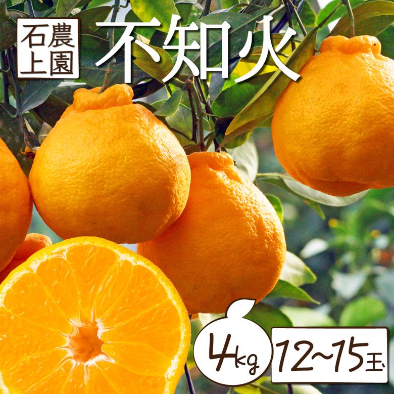 AF-A3 【先行予約】訳あり 串間市都井「石上農園」の不知火4kg(12～15玉)【石上農園】