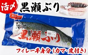 KRBF15-2602 ＜2026年2月配送＞活じめ！黒瀬ぶりの生鮮ブリフィレー 1.5kg前後