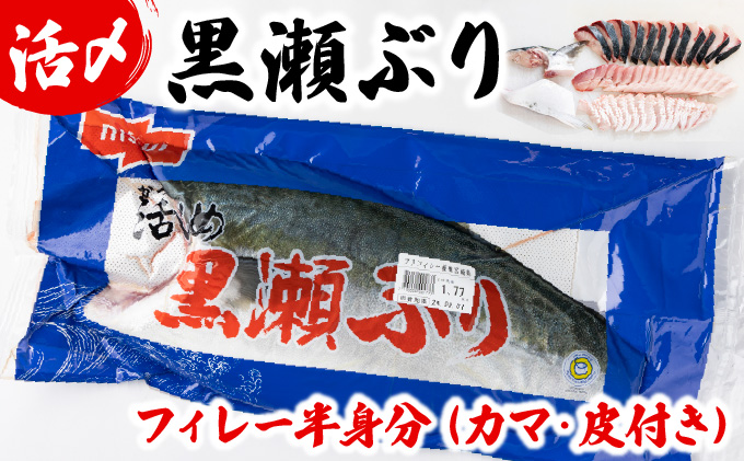 KRBF15-2605＜2026年5月発送＞活じめ！黒瀬ぶりの生鮮ブリフィレー 1.5kg前後